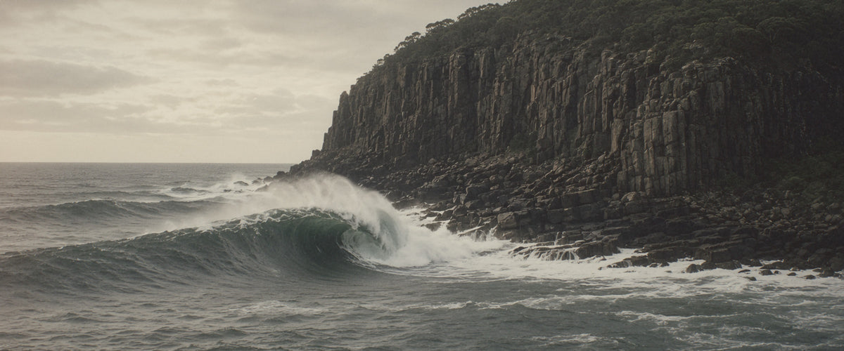TAS Shipstern Bluff